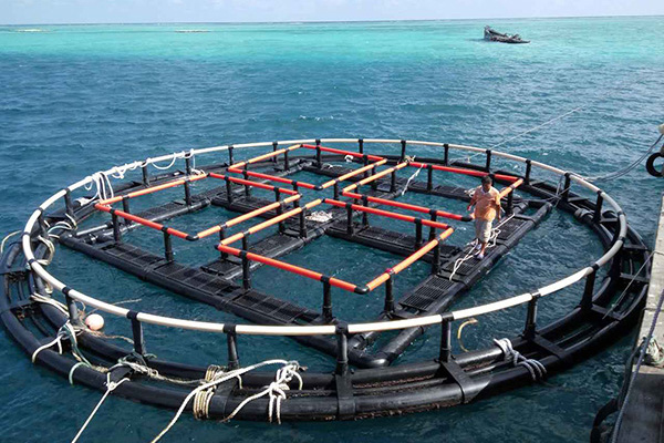 深海養魚網箱